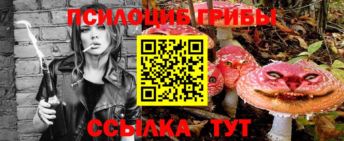 Псилоцибиновые грибы Cubensis Беслан
