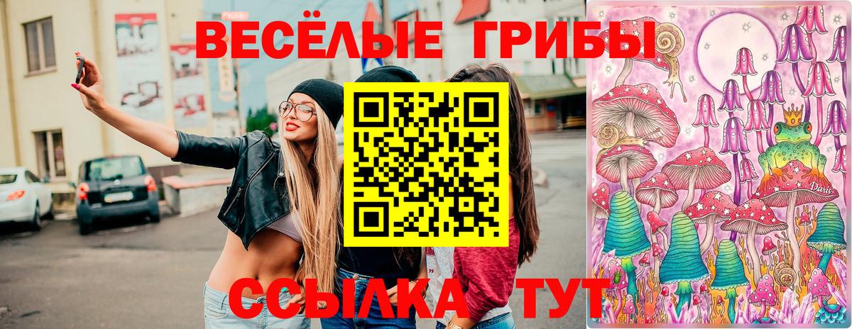 Псилоцибиновые грибы GOLDEN TEACHER  продажа наркотиков  Беслан  Вход с VPN 
